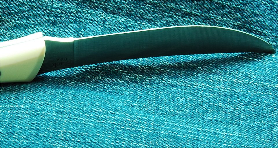 Image1.jpg