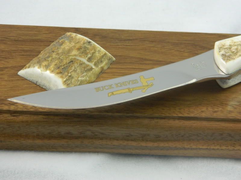 DSCN2083.jpg