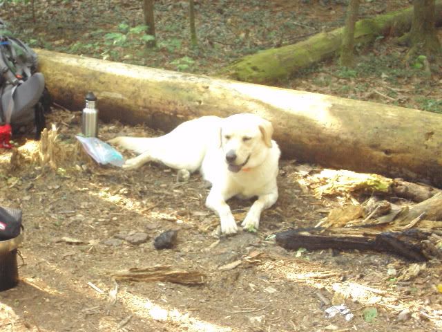 DSC00557.jpg