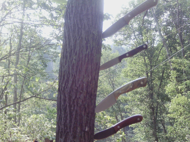IMAG0078.JPG
