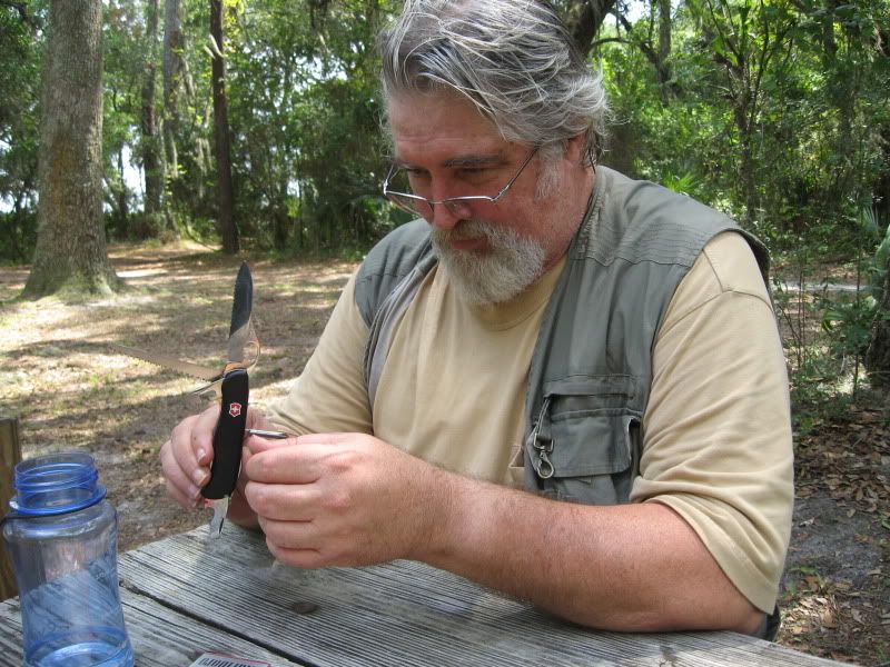 BIRP019.jpg