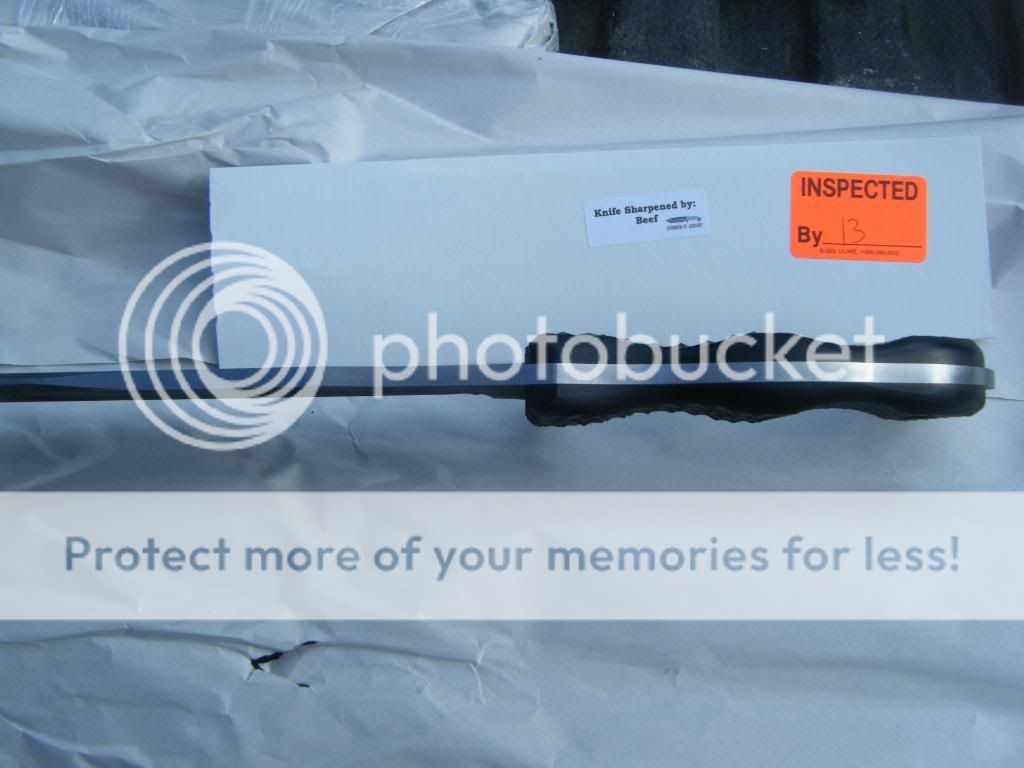 DSCF1517.jpg