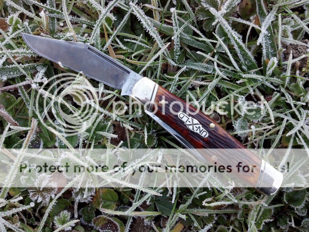 Outlaw_7_small_zpscb6f519b.jpg