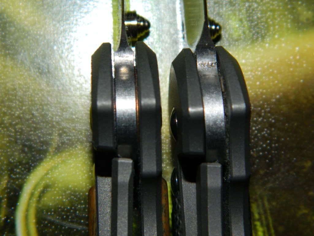 DSCN0469.jpg