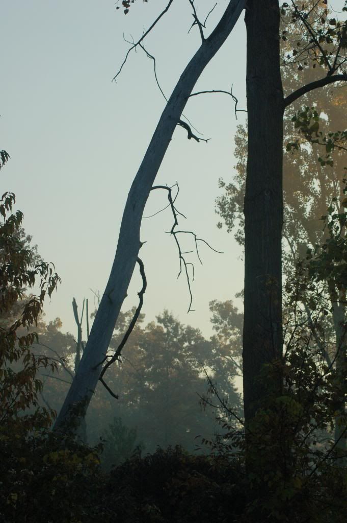 DSC_0053-5.jpg