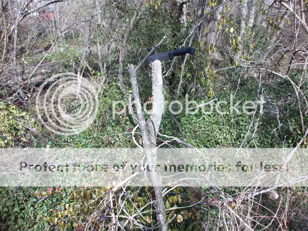 100_1865.jpg