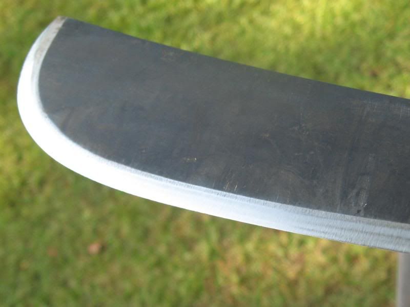 Condor011-1.jpg