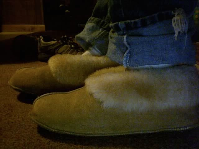 Photo13.jpg