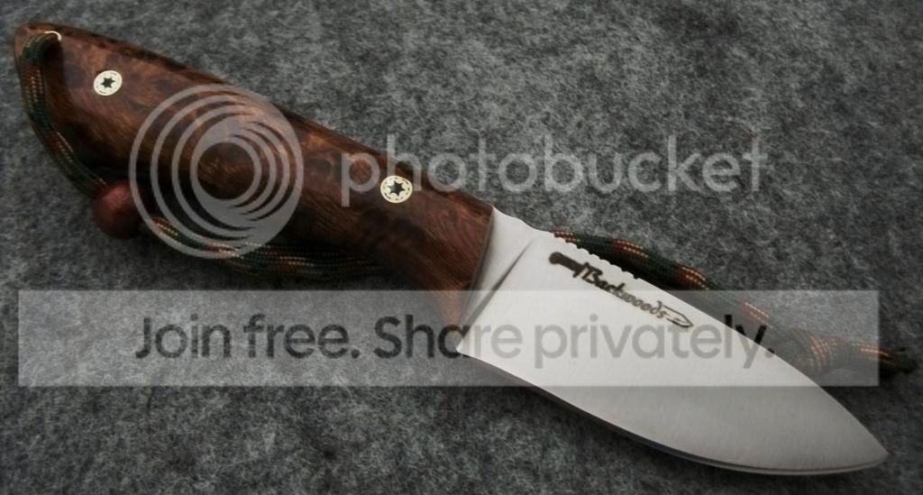 REDWOOD1095017.jpg