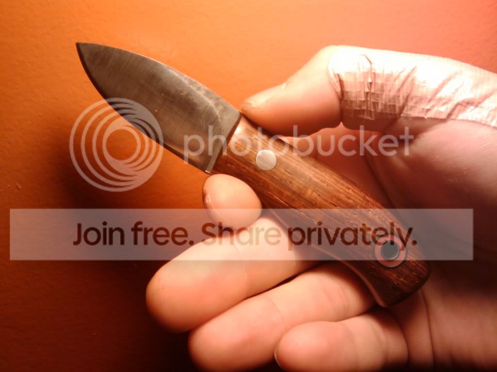 runt.jpg