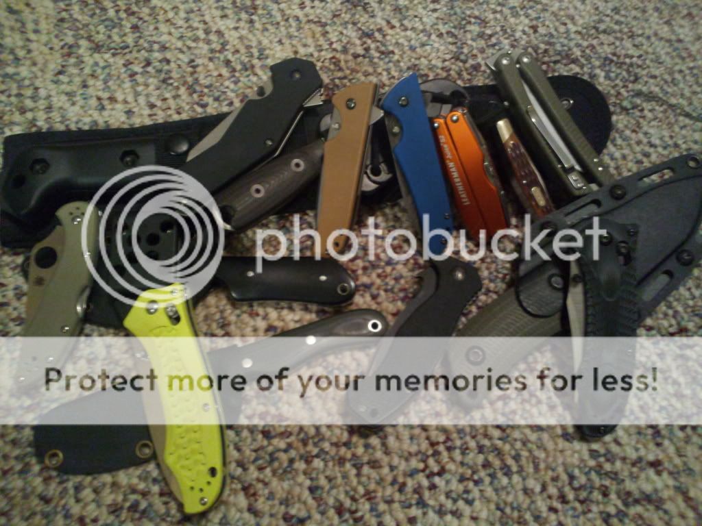 2013-09-08191033.jpg