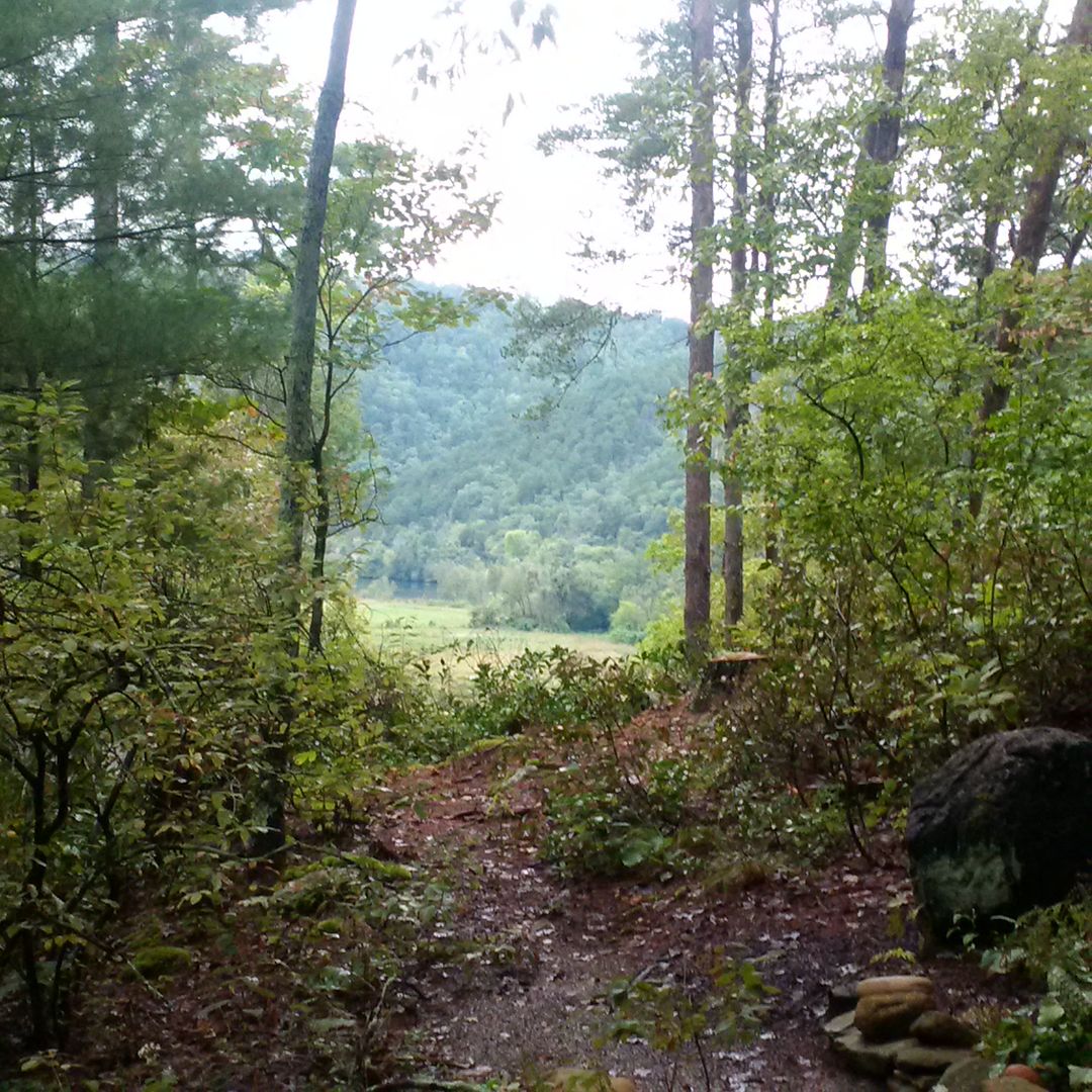 IMG_20151002_185344.jpg