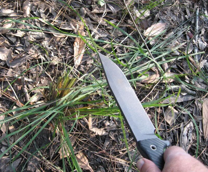 M9CG016.jpg