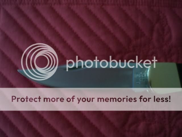 poto2007026.jpg