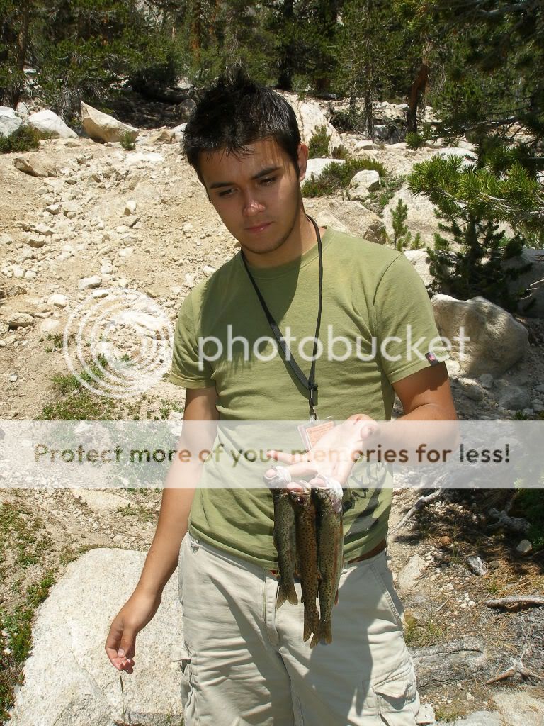 KingsCanyon2009502.jpg