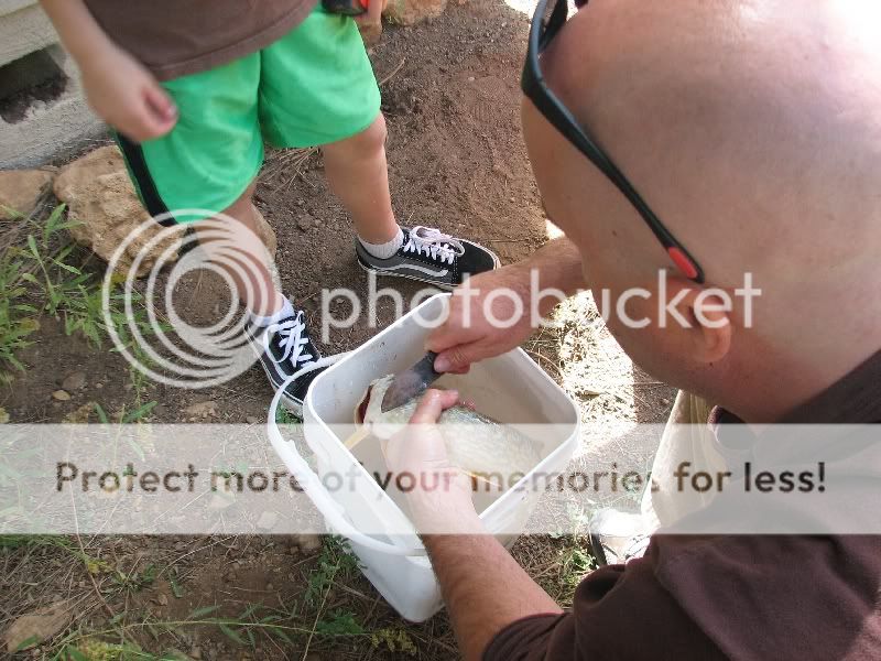IMG_3263.jpg