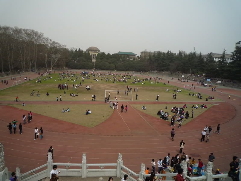 P1050202.jpg