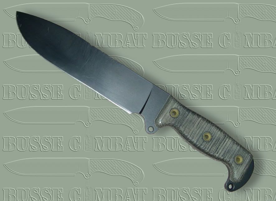 Busse_SHSH_logo_background.jpg