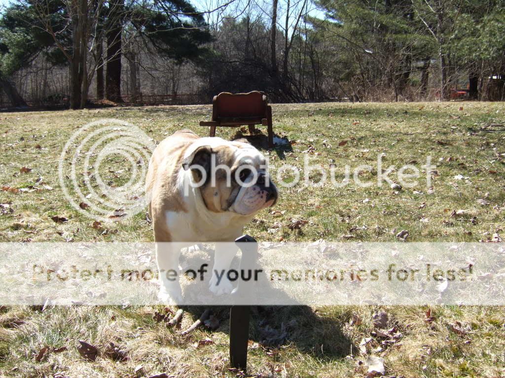 mike063.jpg