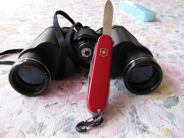 Oouf684l.jpg