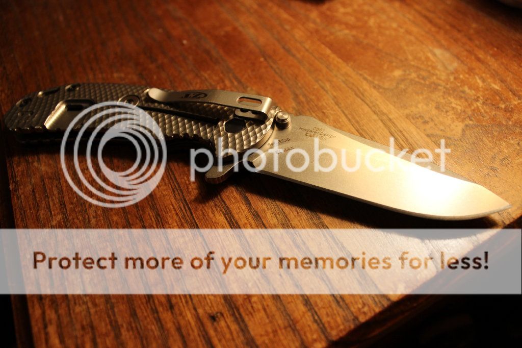 ZT0561silverside_1.jpg