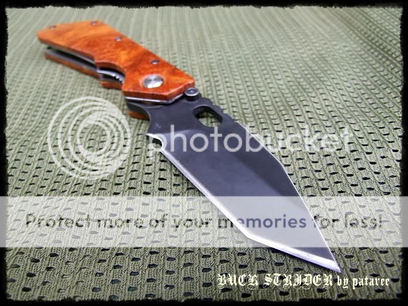 striderDSCF8963.jpg