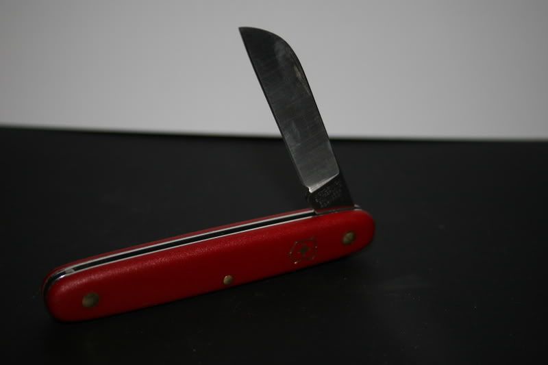 vics033.jpg