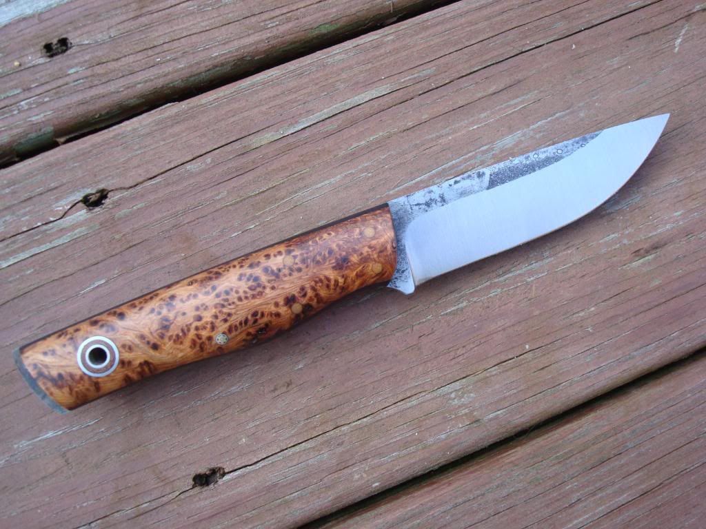 Fiddleback009.jpg