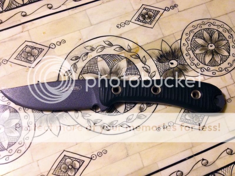 IMG_0998_zps8094c5de.jpg