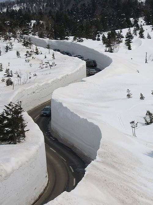Japan_snow1.jpg