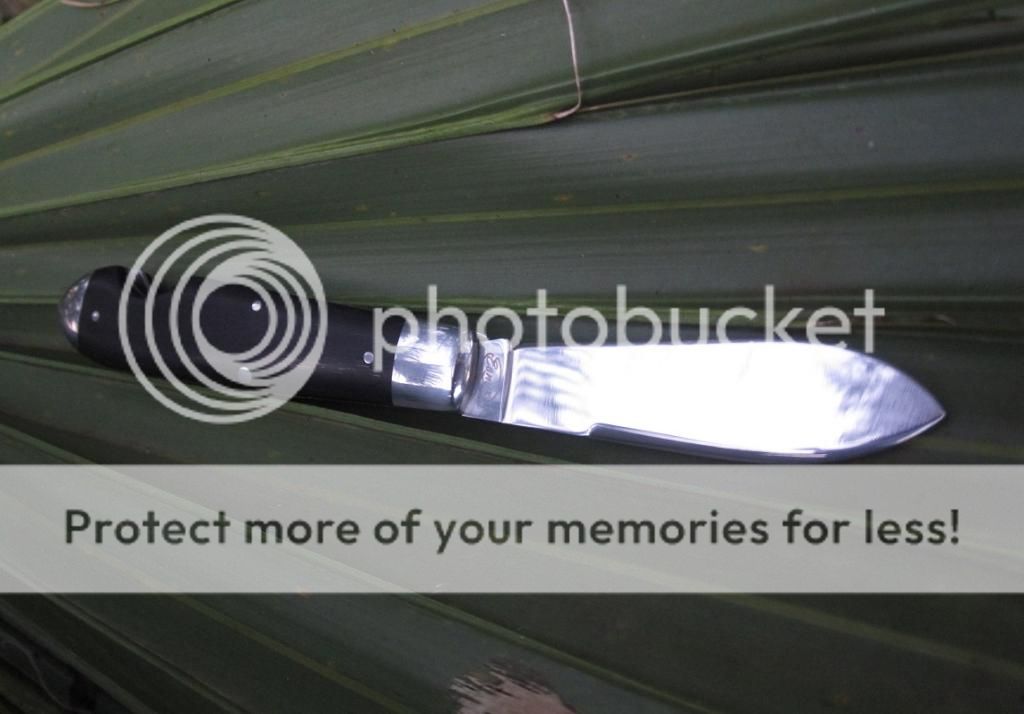 IMG_3147_zps4d21b981.jpg~original