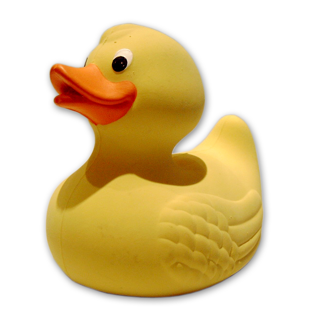 rubberDuck.jpg