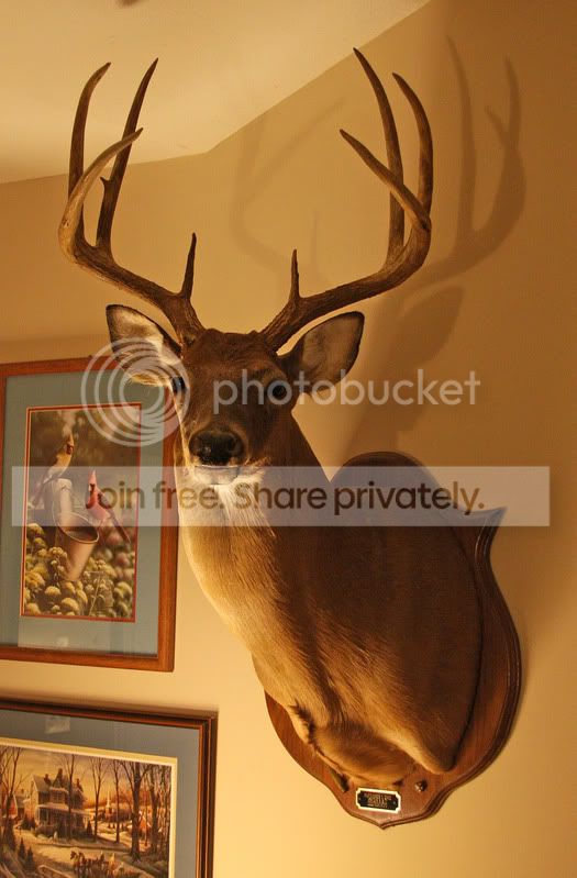 My8pt.jpg