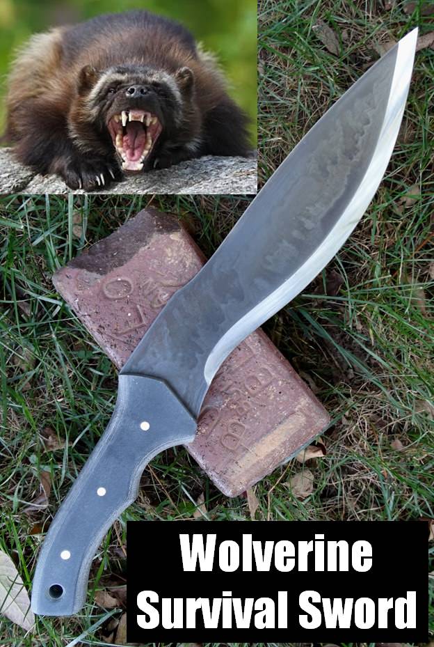 bvitiXu.jpg