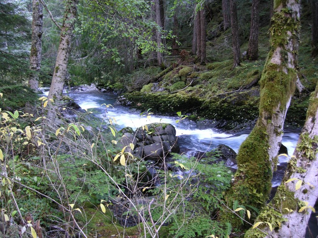 DSCN2505.jpg
