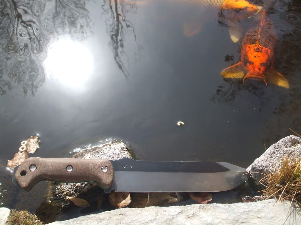 pondbeckerpics066.jpg