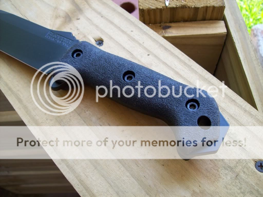 PictureorVideo1297.jpg