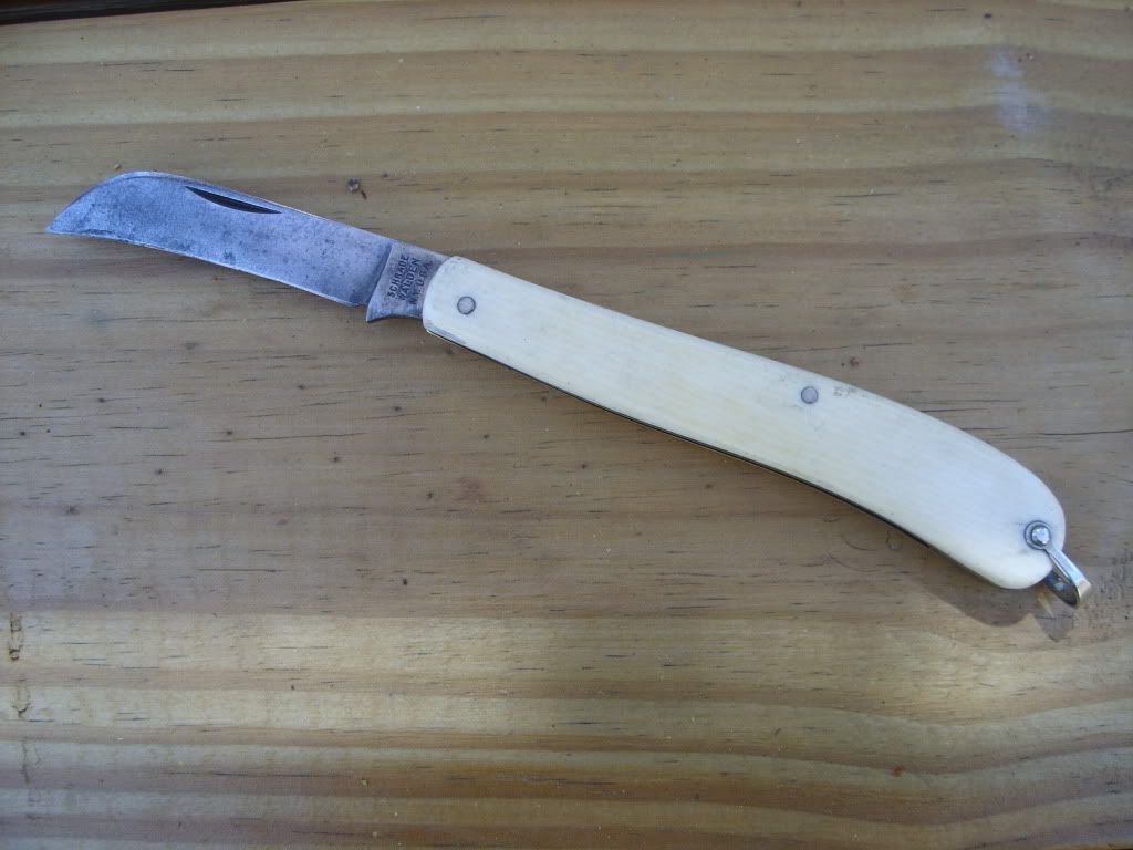 STP80610.jpg