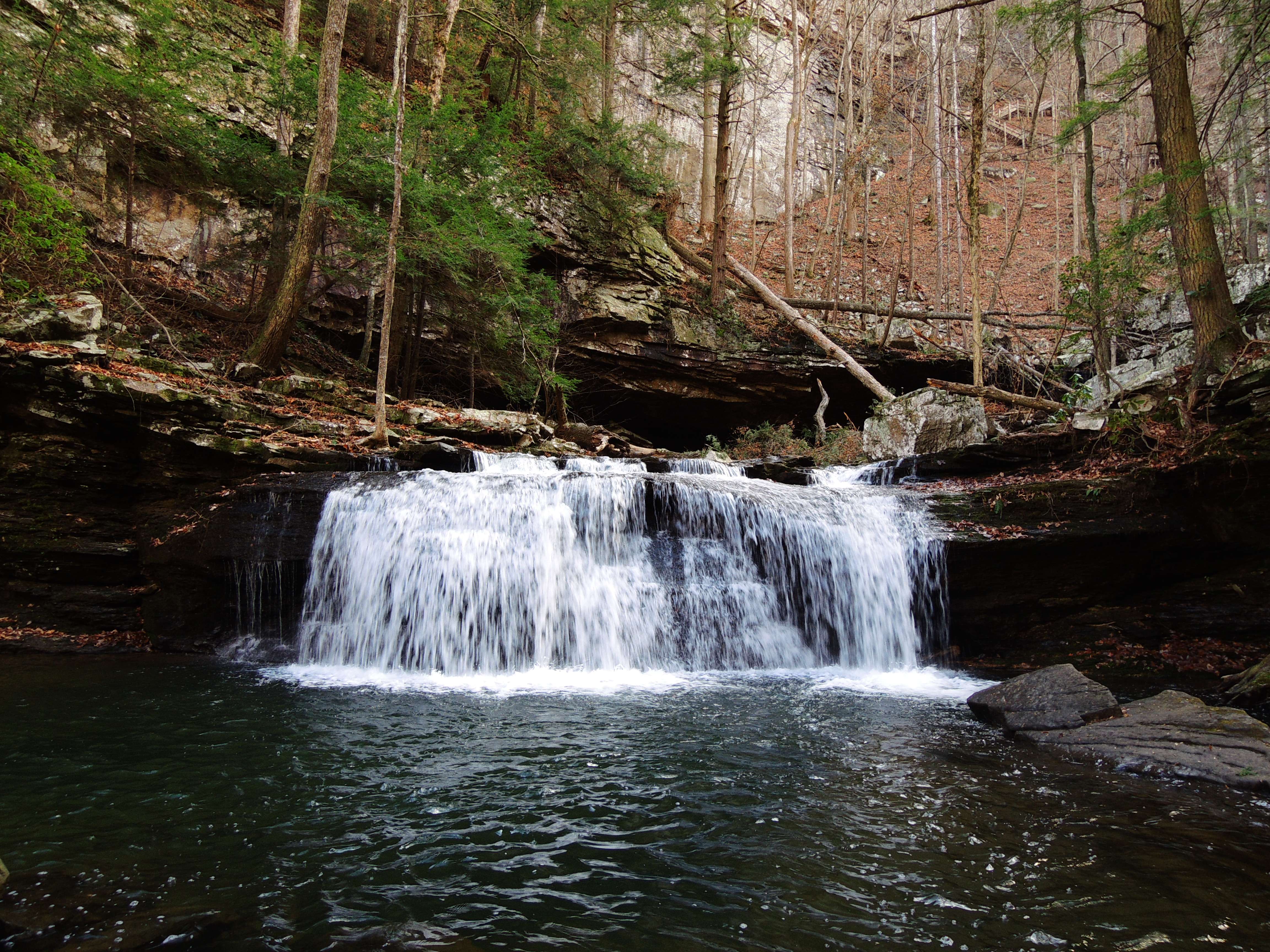dscn4158f.jpg