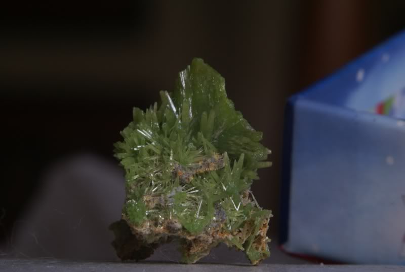 DSC00142r.jpg