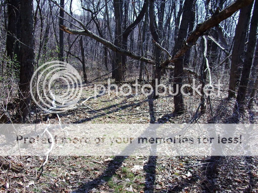 PICT0646.jpg