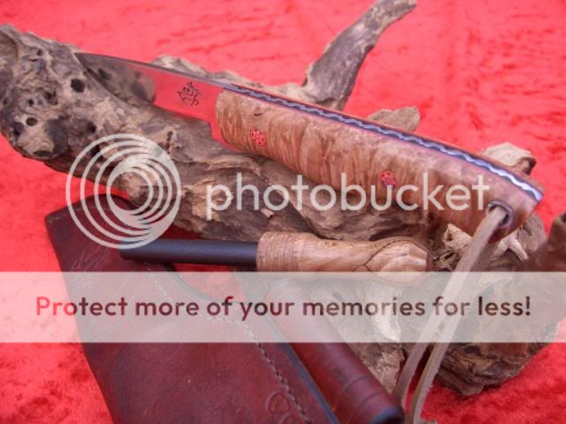 MapleBirdandTrout047.jpg