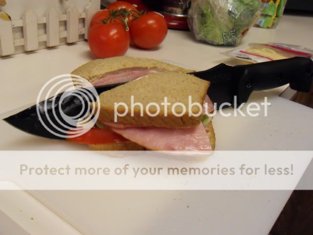 SDC11120.jpg