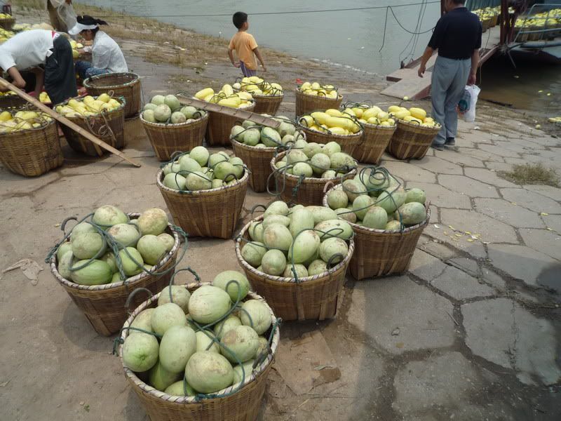P1070444.jpg