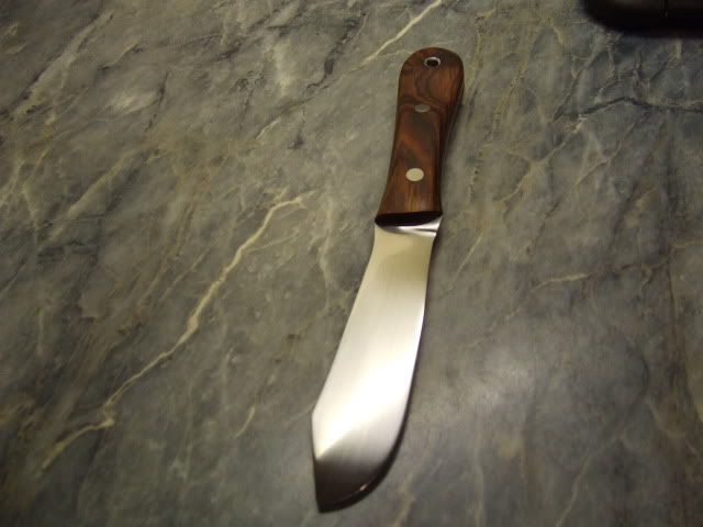 2010_02040008.jpg