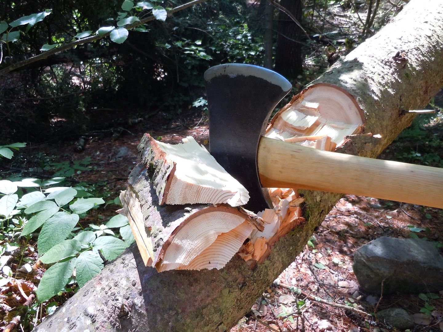 DSCN1028.jpg