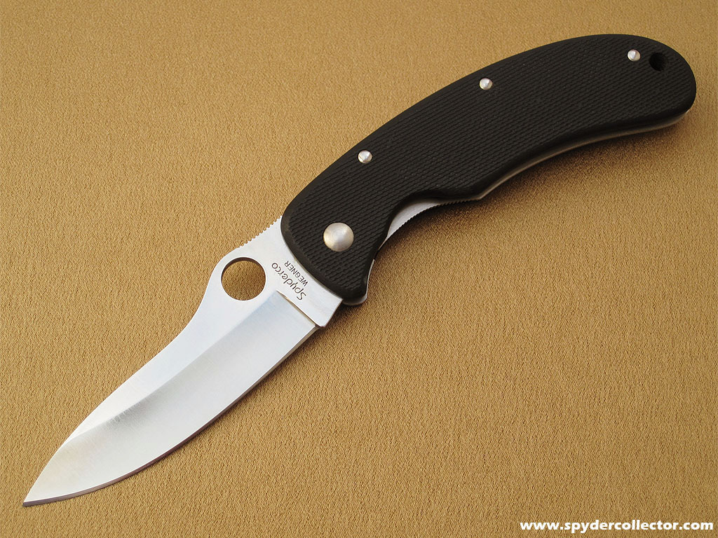 wegner_spyderco.jpg