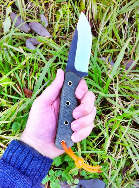 LastImport-5.jpg
