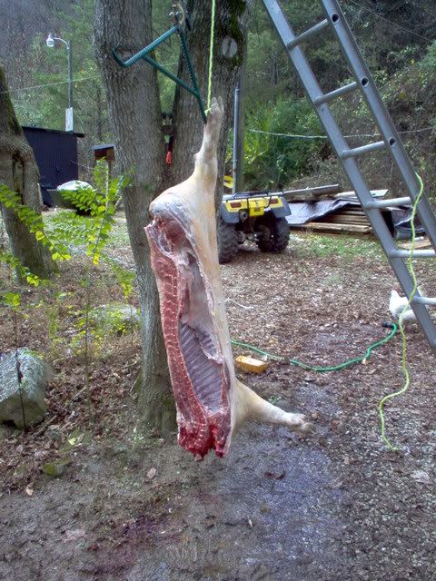 Picture122.jpg