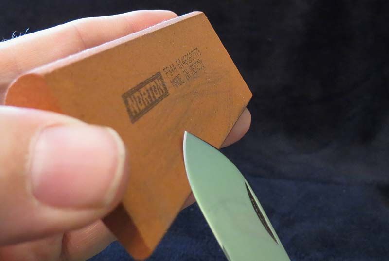sharp5.jpg